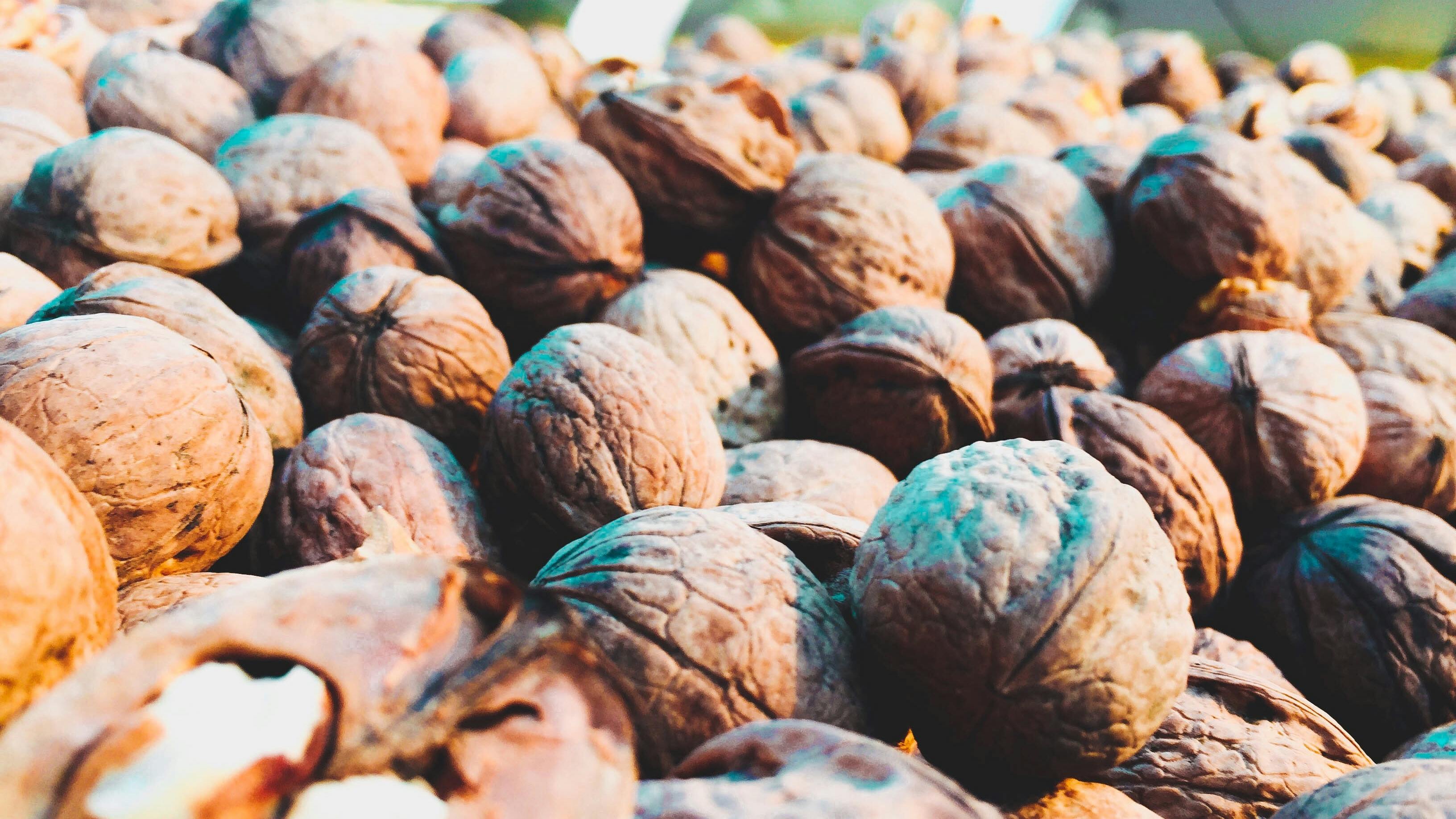 Dry Fruits